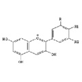 Heidelbeerextrakt Heidelbeere (Vaccinium myrtillus)